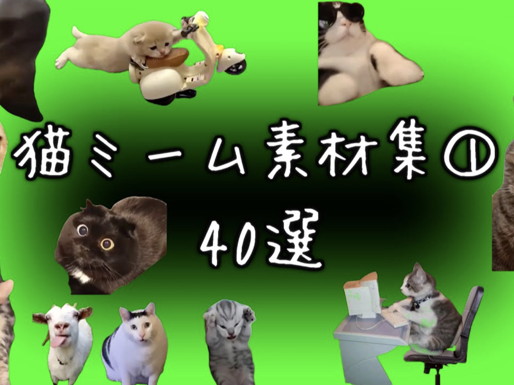 你一定看過的「猫ミーム」，貓貓對話迷音在社群爆紅！ - Partipost plog.tw